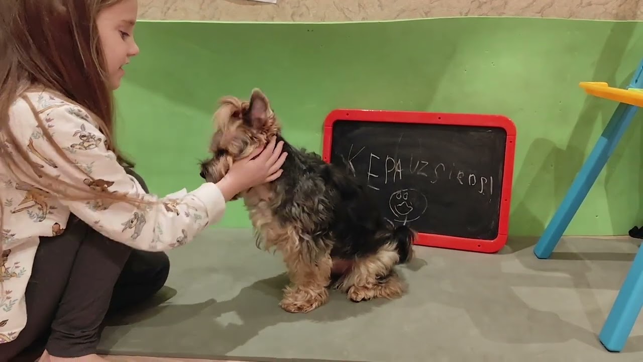 Видео, присланные зрителями 28.02.2026 Лапа на сердце