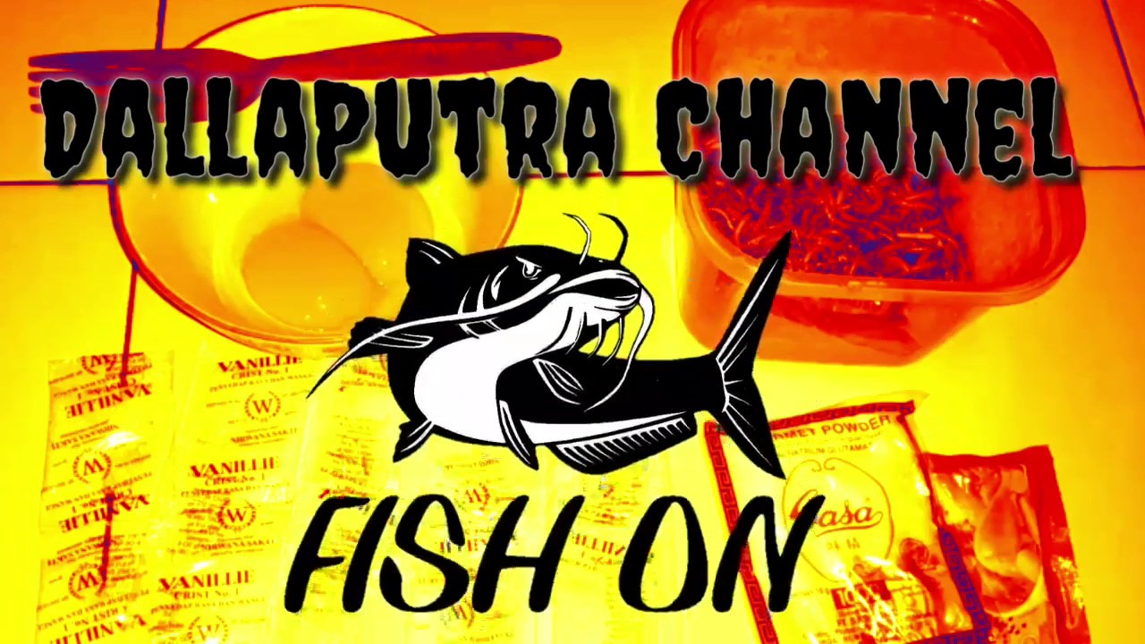 ulat HONGKONG di campur sasa,membuat lele jadi menggila 