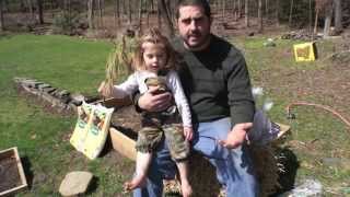 How To Grow "No Dig" Potatoes Using Straw