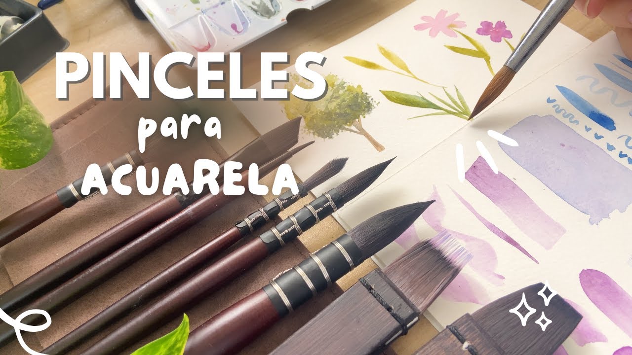 Conoce los tipos de pinceles para acuarela 🎨 | Materiales para pintar