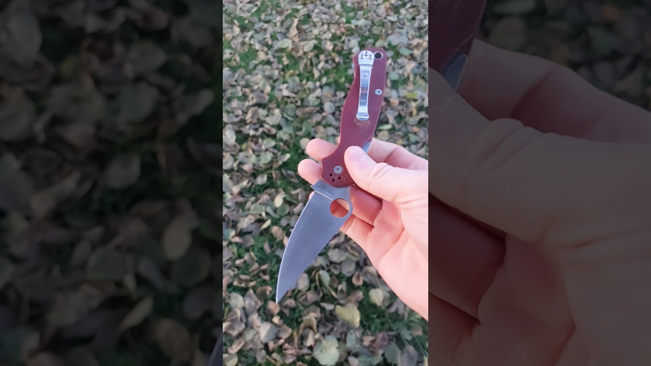 Spyderco PM2 crucarta! Classic carry. "They" won't silence me!