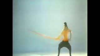 Shaolin Invincible Sticks