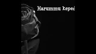 Status WA Mawar Hitam