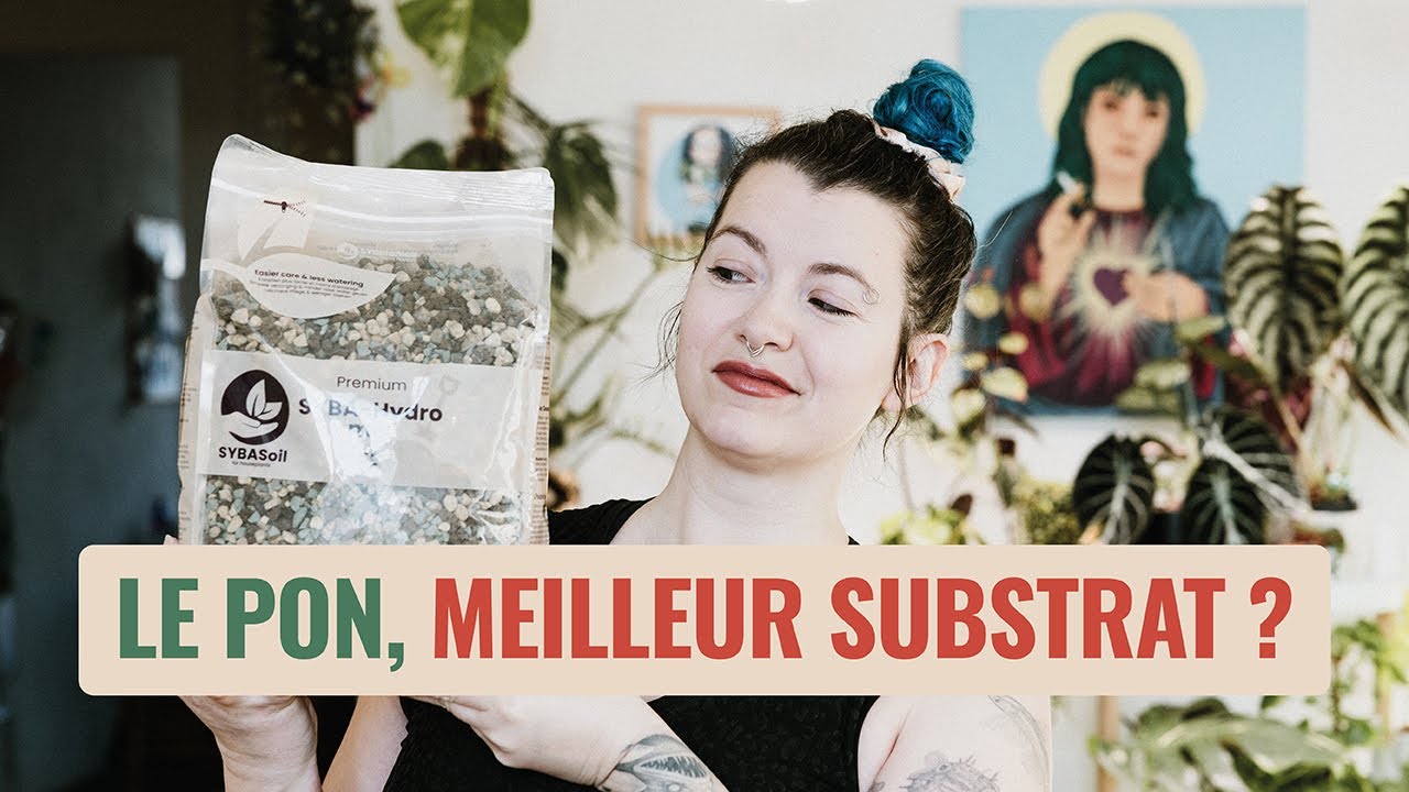🧐 Le Pon est-il le MEILLEUR substrat pour tes plantes ? 🪴