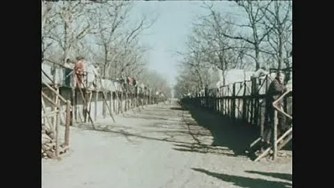 News Item (53db577e-406f-8474-97fc-67379e23d929)