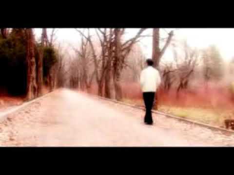 Парандахо хама рафтанд Зиёвиддини Нурзод