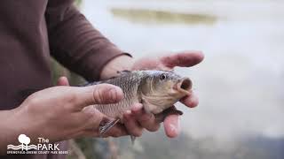 CAPRA Video 1: Parks Partners and Outdoor Experiences