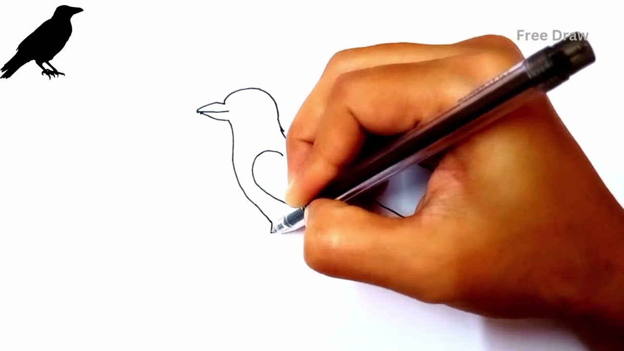 Crow drawing || Bird drawing || Easy crow drawing for kids