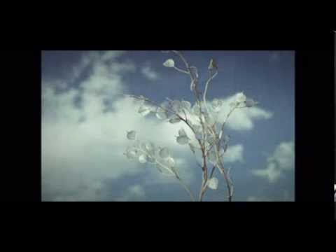 Studio Czasu i Przestrzeni odc. IX Ks Prof Wiesław DYK vtv wijkeroog velsen-noord