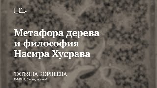 картинка: Лекция «Метафора дерева и философия Насира Хусрава» / Татьяна Корнеева