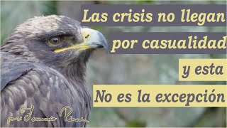 El Águila Que Aprendió La Importancia De Las Crisis - Reflexión Sobre Hacer Frente A Las Tragedías