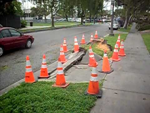 The Rain Storms of March 2011 - Coombs Park area, ...