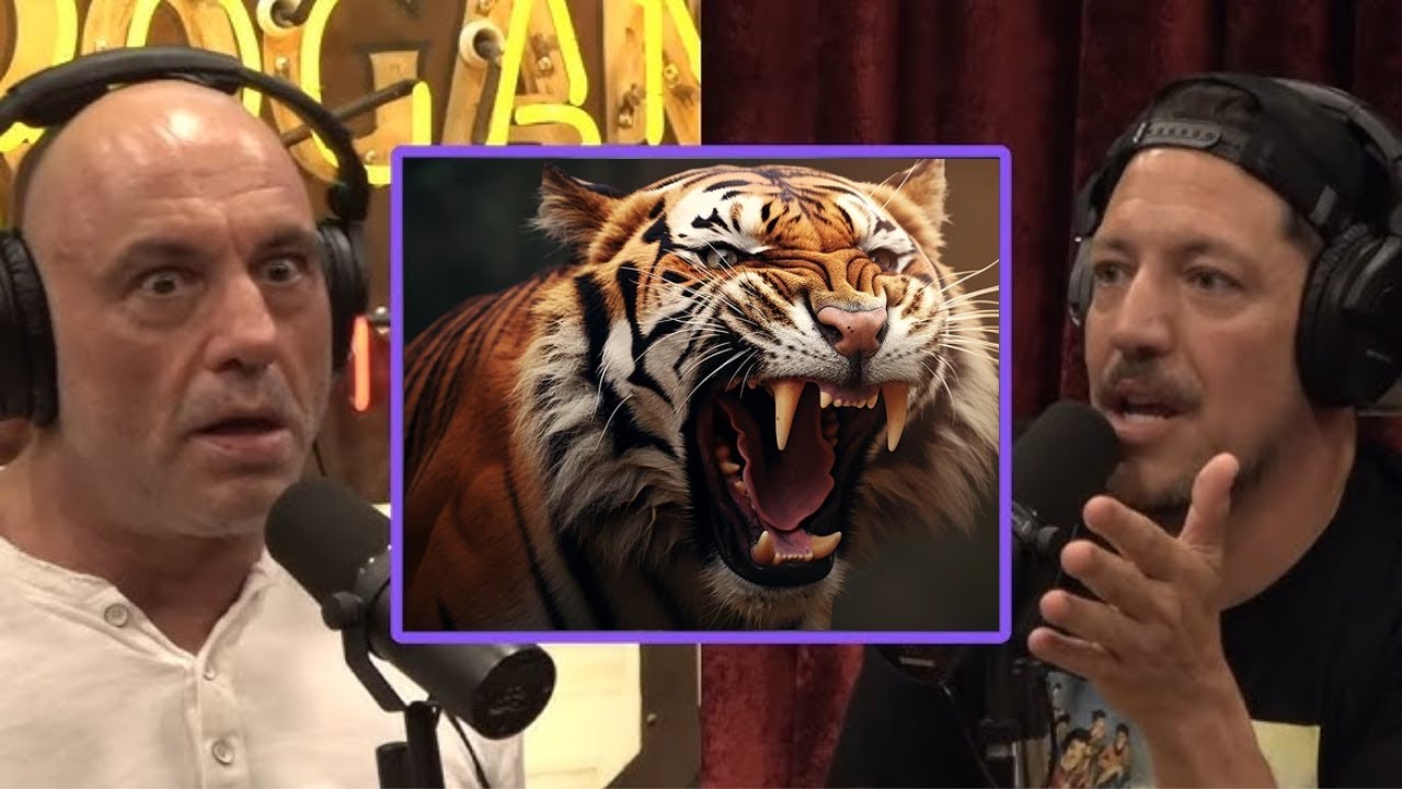 Joe Rogan and Sal Vulcano on Manβs Shocking Stroke While Rescuing a ...