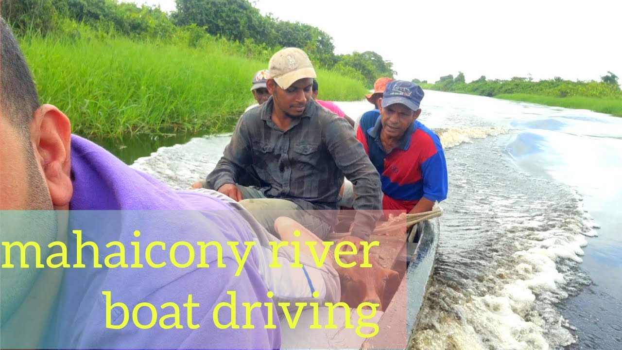 поездка по ручью Махаикони с лодкой, виды с воздуха и поездка на тракторе по ответвлению дороги #...