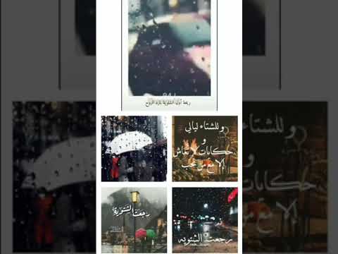 رجعت الشتوية ضل افتكر فيي ضل افتكر فيي رجعت الشتوية حالات واتس اب 86