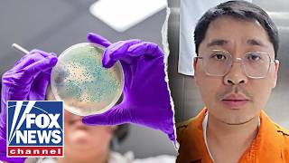 Bio pathogen marked as WOMEN'S UNDERWEAR smuggled into US screenshot 4