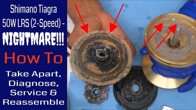 Shimano Tiagra Fishing Reel Breakdown, Cleaning and Service 