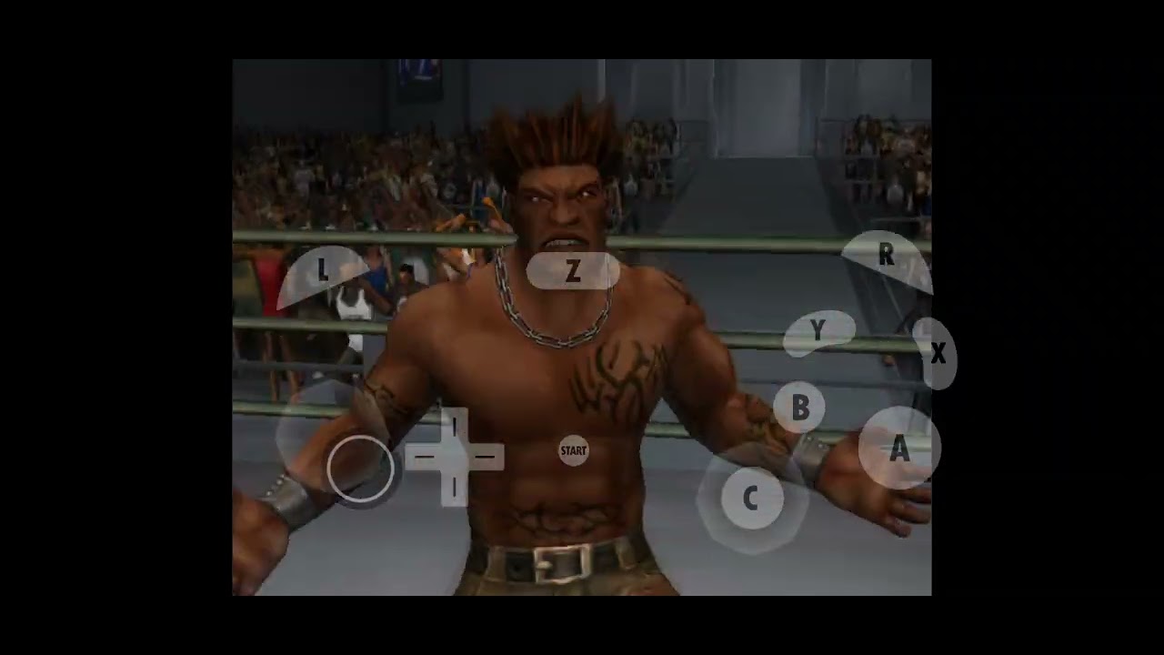 Def Jam Vendetta Two Random Matches 