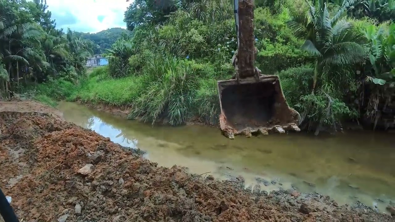 carregando os brutos com pantano