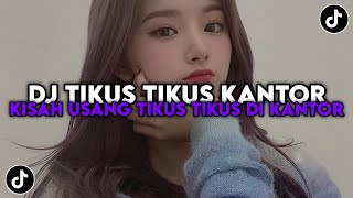 DJ TIKUS TIKUS KANTOR | DJ KISAH USANG TIKUS TIKUS KANTOR VIRAL TIKTOK TERBARU 2025 !