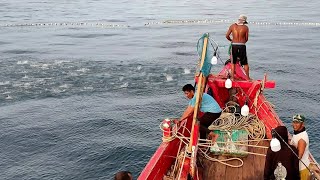 Pukat cincin, Nelayan Indonesia Dapat Banyak Ikan, luar biasa hasil tangkapan nelayan Indonesia