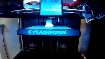 Flashforge Finder Time Lapse 3D Print
