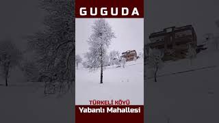 📍TÜRKELİ KÖYÜ YABANLI MAHALLESİ #GUGUDA 