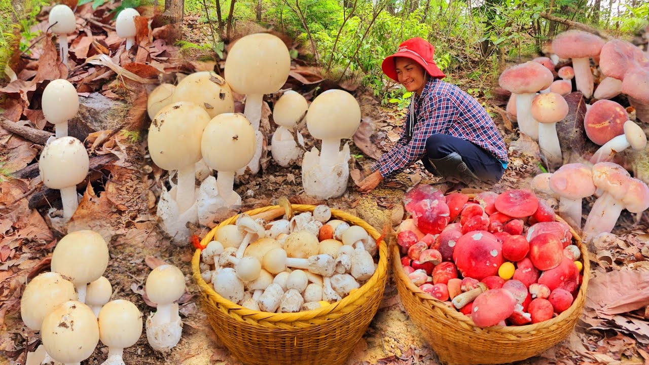 หมานๆอีพ่ออีแม่!!โพดๆโพๆ!!จ๊วดๆ29ก.ค67ครับ