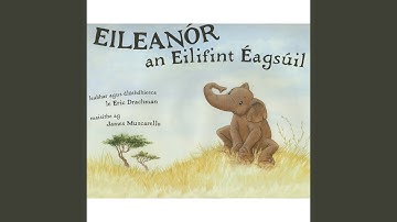Eileanór an Eilifint Éagsúil