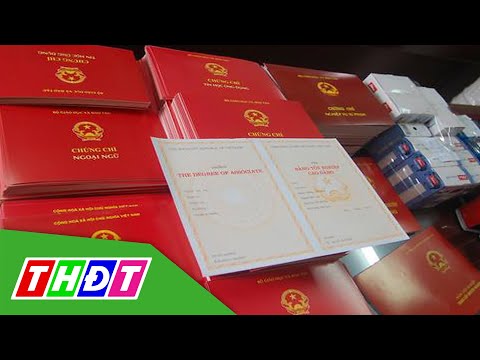 Cảnh báo sử dụng bằng giả xin vào cơ quan nhà nước để làm việc | THDT