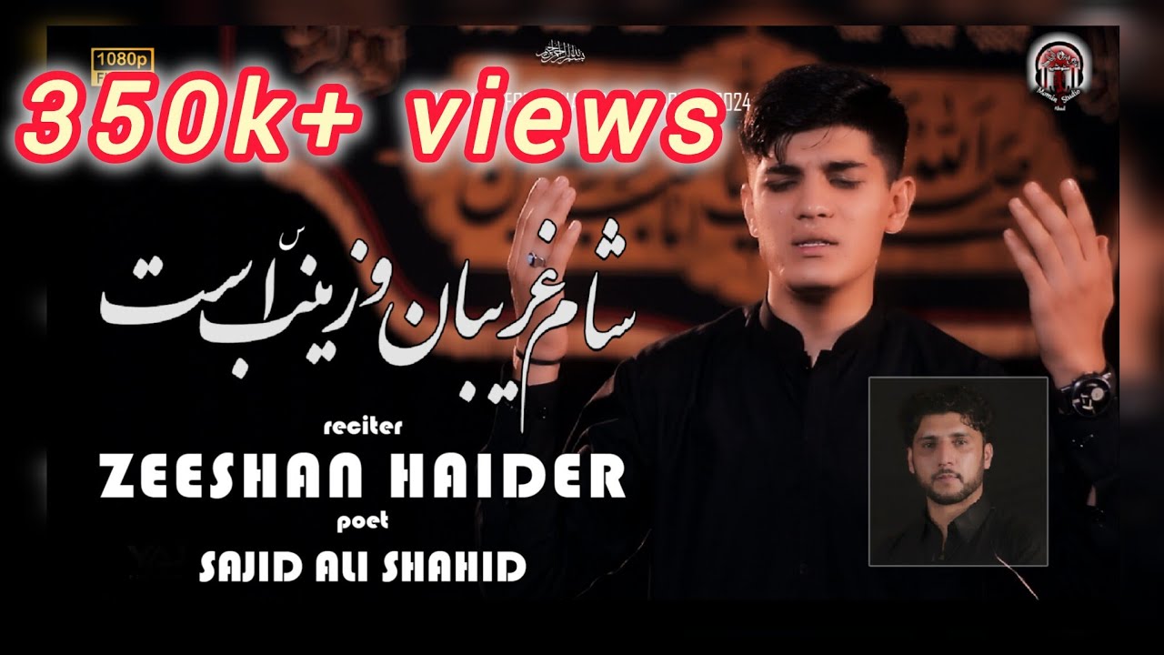 Zeeshan Haider || New Noha 24 || وای از دل زینب  || Muharram ul Haram || #azadar #muharram2024
