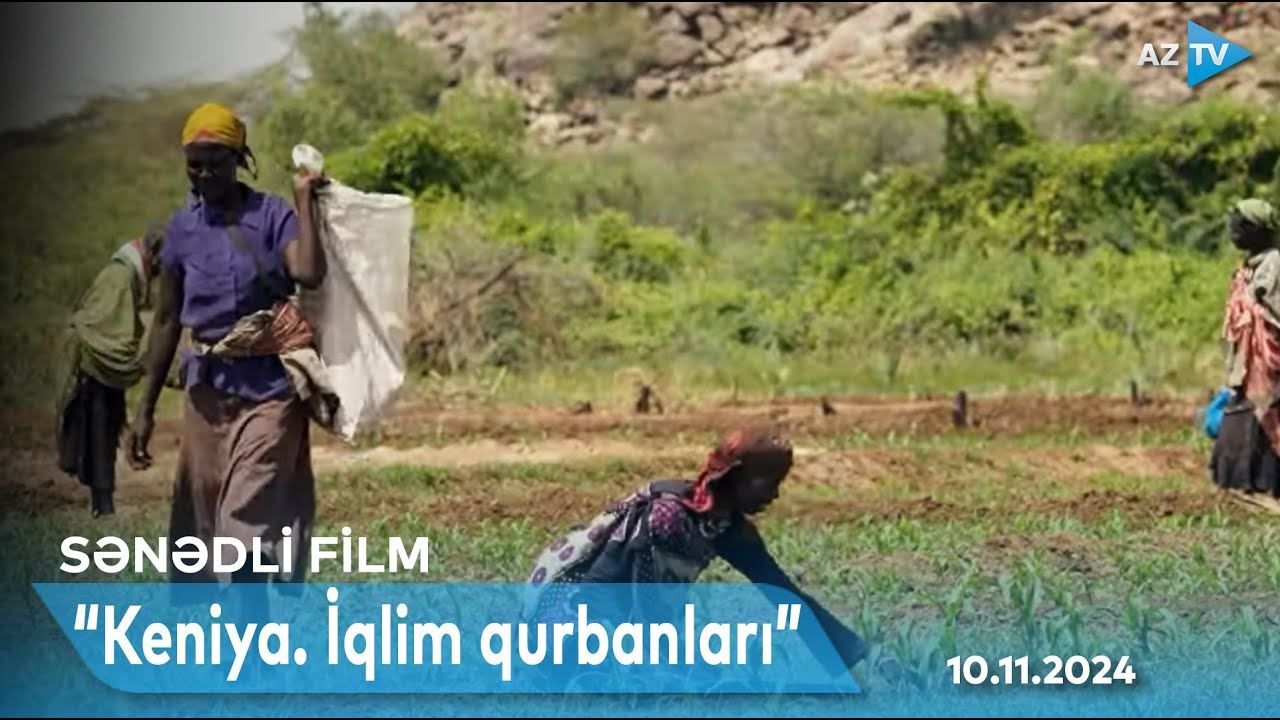 “Keniya. İqlim qurbanları” I SƏNƏDLİ FİLM – 10.11.2024