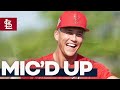 Mic'd Up: Lars Nootbaar | St. Louis Cardinals