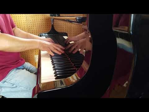 Rhapsody on a Theme of Paganini 18th Variation for piano solo - Sergei Rachmaninoff