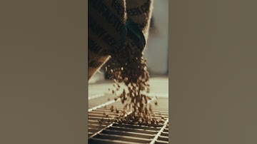 Grown With Skill & Roasted With Purpose | Intelligentsia Coffee