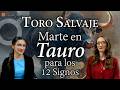 Energías del 20 de Mayo: Toro Salvaje - Marte en Tauro