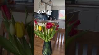 Nie Wieder Unordnung