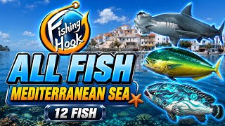 Fishing Hook – ALL Fish Mediterranean Sea