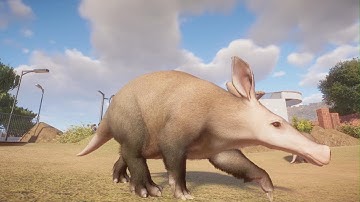 Planet Zoo: Aardvark