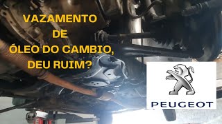 Vazamento De Óleo No Peugeot 207 1.6, Facil De Resolver?