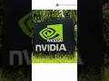 NVIDIA Earnings |  What to Expect |  NVDA
