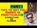 HOW TO DISSECT HIBISCUS FLOWER (PRACTICAL EXAM)
