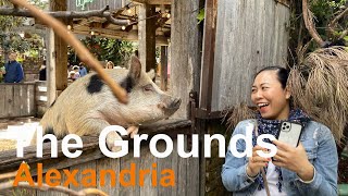 The grounds - alexandria