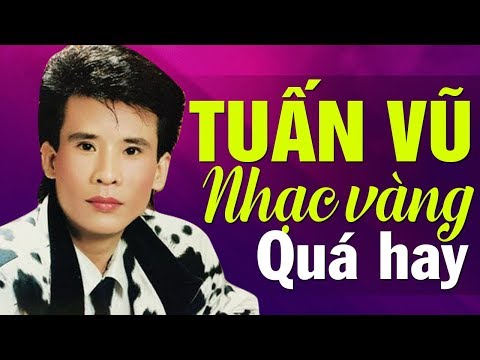 Liên Khúc NHẠC VÀNG HẢI NGOẠI Sôi Động – LK TUẤN VŨ Trọn Bộ Còn Mãi Với Thời Gian