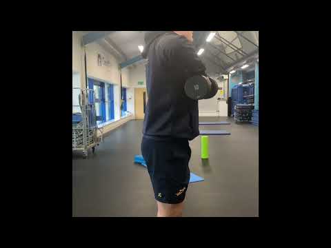 Upper body vertical pull - upright dumbbell rows