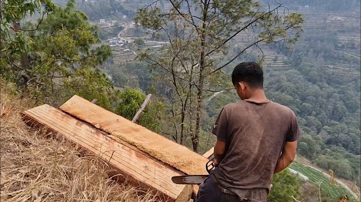 डरलाग्दो भिरालो भिरमा फलेक चिर्नेकाम || Wood slicing ||