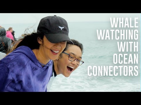 A Whaley Cool Adventure