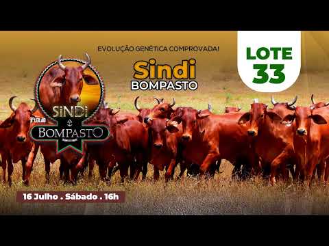 LOTE 33 -  NOBREZA BOMPASTO