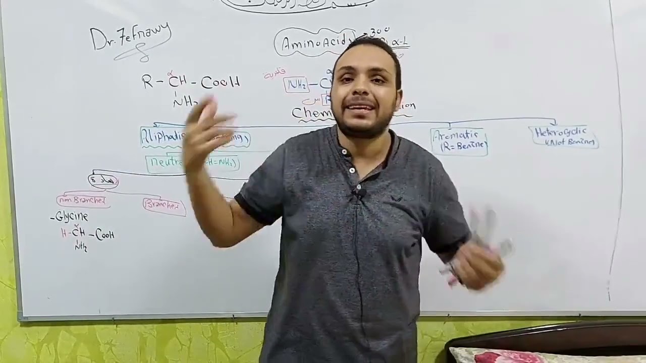 Amino acids classification