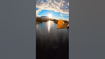 أجمل تلاوة الشيخ ماجد الزامل